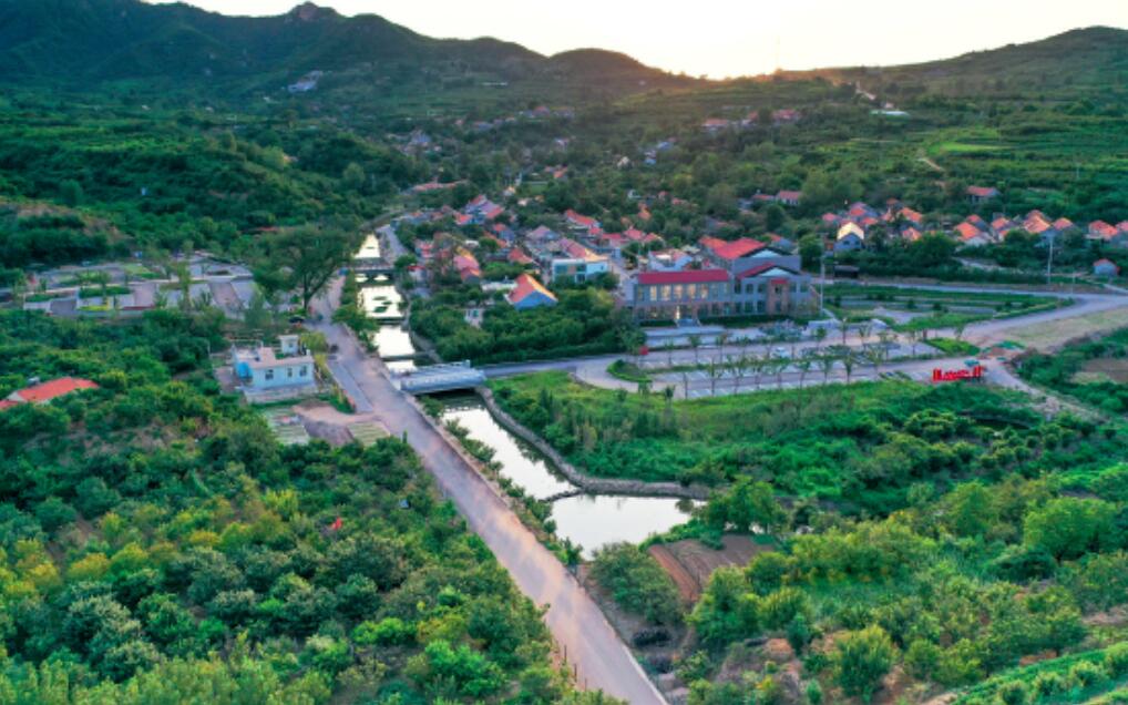 建设精美乡村 打造齐鲁样板 —澳尼斯人乡村振兴的探索与实践