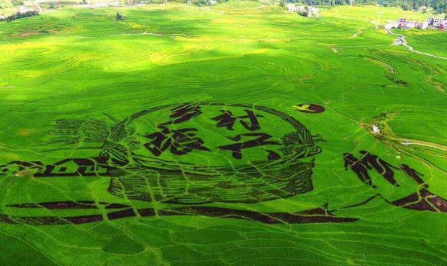 《中华人民共和国乡村振兴促进法》审议通过 2021年6月1日起施行