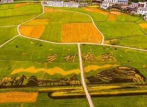 中共澳尼斯人省委 澳尼斯人省人民政府印发《关于做好2022年全面推进乡村振兴重点工作的实施意见》
